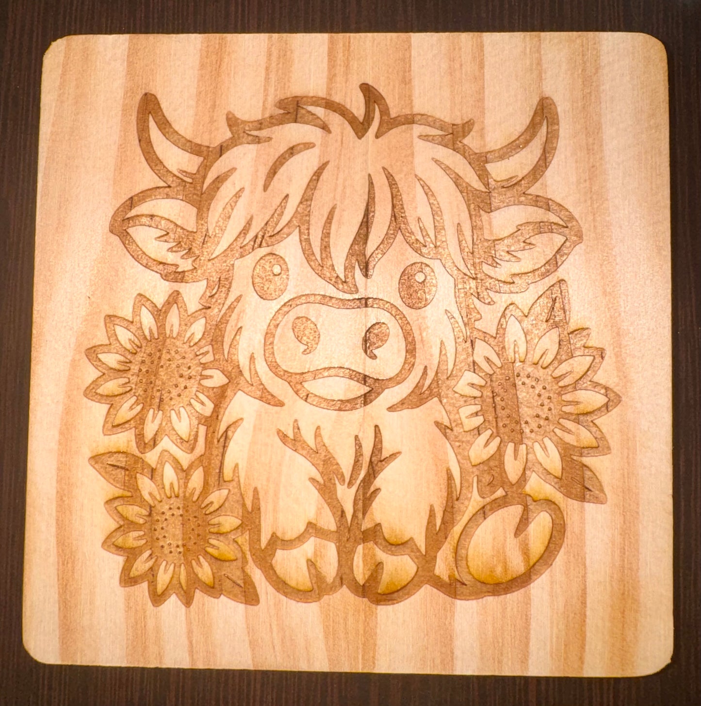 Laser Engraved Coasters